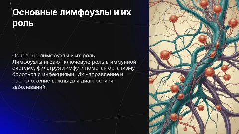 основные лимфоузлы и их направление