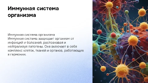 имунная система организма