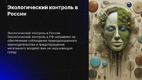 экологический контроль в рф и его функции