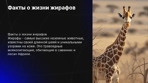 презентация на английском про жирафов