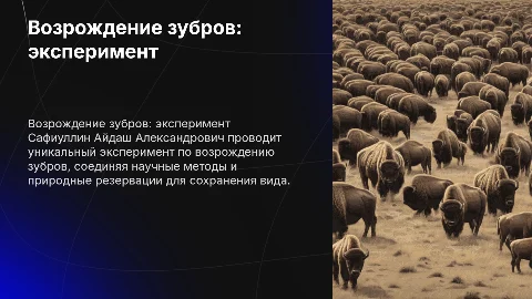 Возрождение зубров: успешный эксперимент Сафиуллина