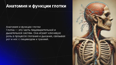 Анатомия глотки