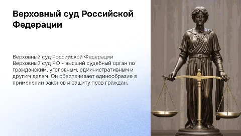 Верховный суд Российской Федерации