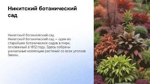 Никитский ботанический сад