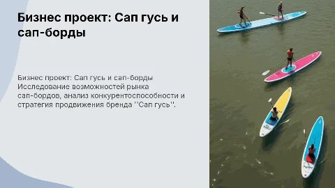 Бизнес проект Сап гусь про сап-борды