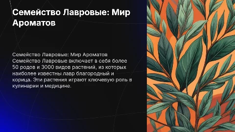 семейство лавровые
