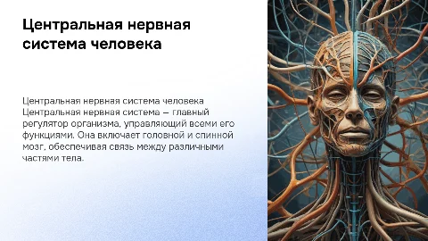 центральная нервная система