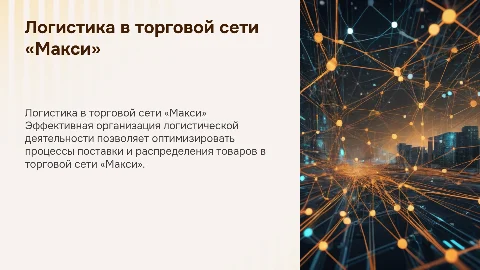 Организация логистической деятельности в торговой сети «Макси»
