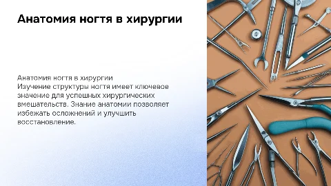 анатомия ногтя в госпитальной хирургии