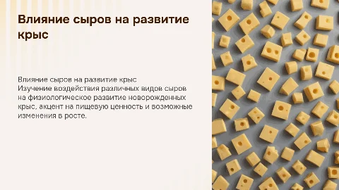 Влияние сыров на развитие новорожденных крыс