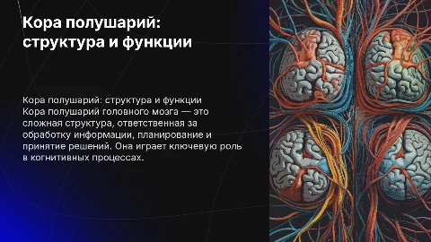 Кора полушарий и ее строение