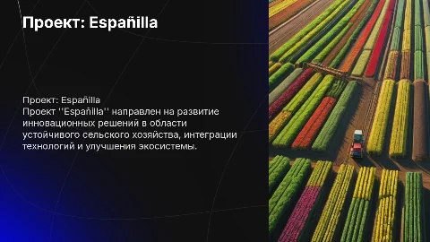 Проект: Españilla