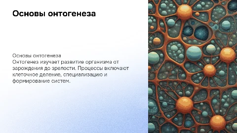 онтогенез