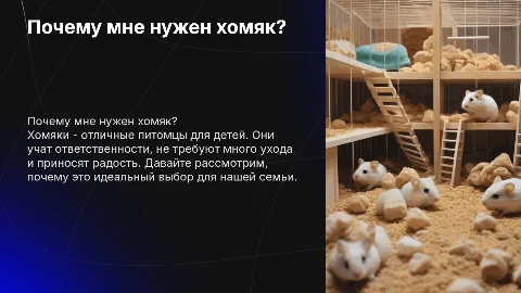 На тему почему родители должны купить мне хомяка