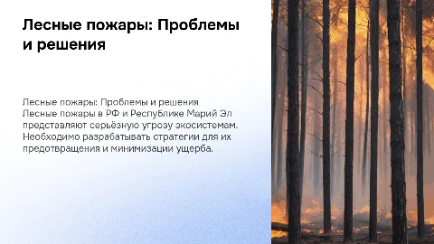 Проблемы лесных пожаров в РФ и Республике Марий Эл