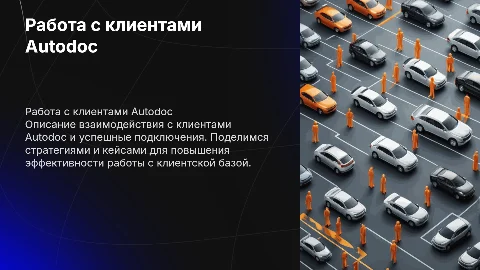 Клиент Autodoc, описание работы с клиентом, успешные подключения