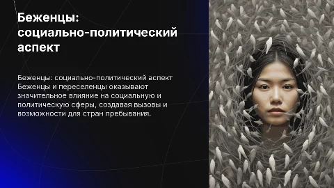 Беженцы и вынужденные переселенцы как социально политическая
