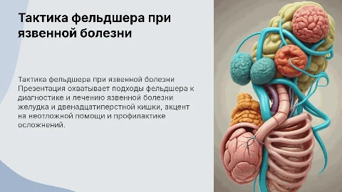 Тактика фельдшера при язвенной болезни: диагностика и лечение