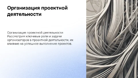 Организаторы проектной деятельности