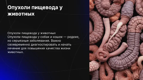 опухоли пищевода у собак и кошек
