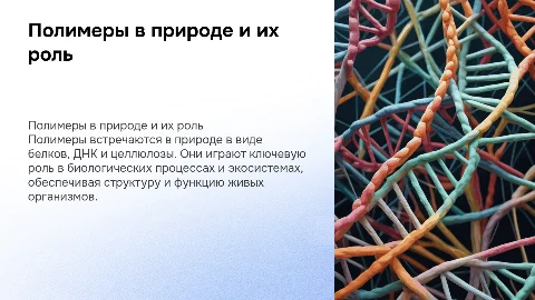 Полимеры в природе