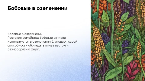 Характеристика бобовых растений в озеленении