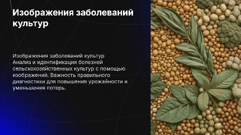 Изображения болезней сельскохозяйственной културы