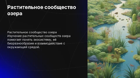Растительное сообщество озера