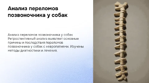 Презентация к дипломной работе: Ретроспективный анализ переломов