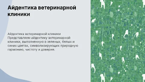 Презентация айдентики ветеринарной клиники в цветах