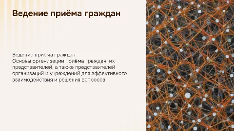 Ведение приема граждан: организация и эффективное взаимодействие