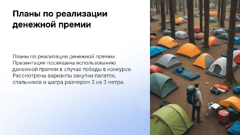 Планы по реализации денежной премии в конкурсе "Движение первых"