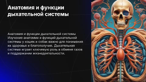 Анатомия дыхательной системы у кошек и собак: функции