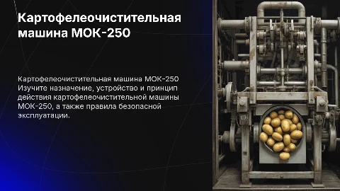 Картофелеочистительная машина МОК-250: устройство и эксплуатация