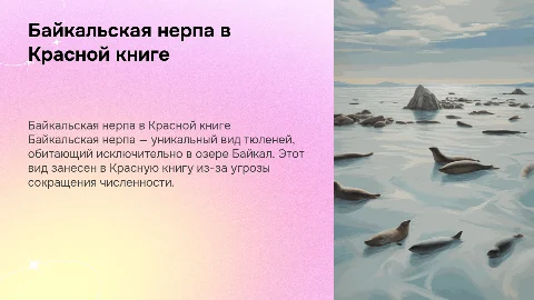 байкальская нерпа, занесенная в красную книгу