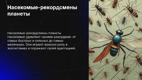 насекомые рекордсмены мира