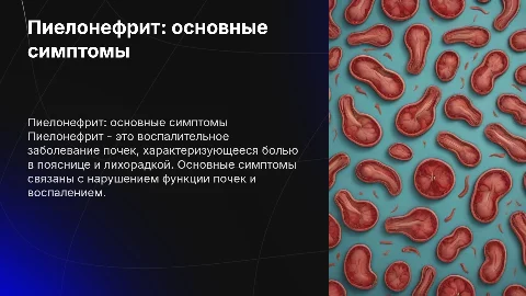 Пиелонефрит: определение и клинические симптомы