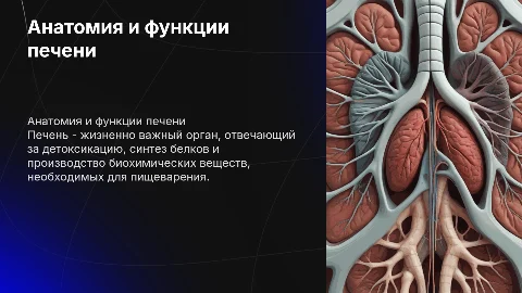 анатомия печени