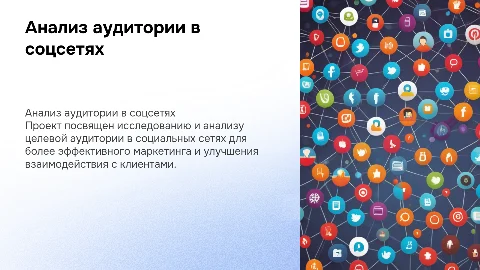 Бизнес проект по анализу целевой аудитории в соцсетях