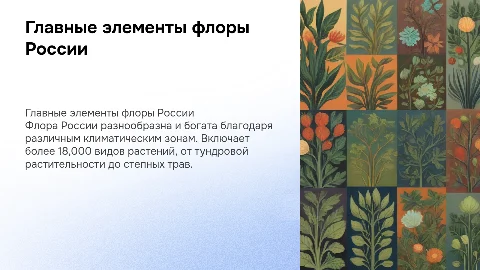 Главнейшие элементы флоры России