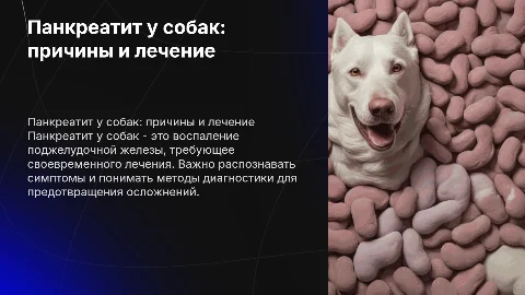 панкреатит у собак