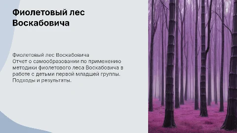 Отчет по самообразованию: фиолетовый лес Воскабовича