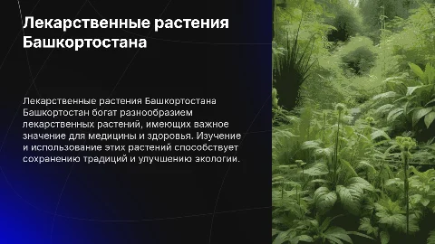Лекарственные растения в Башкортостане