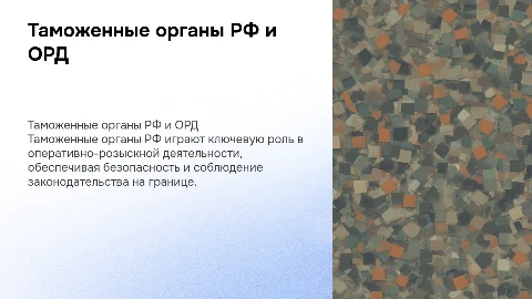 Таможенные органы РФ как субъект ОРД