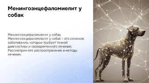Менингоэнцефаломиелит у собак: диагностика и лечение