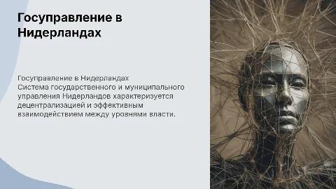 «Государственное и муниципальное управление Нидерландов»