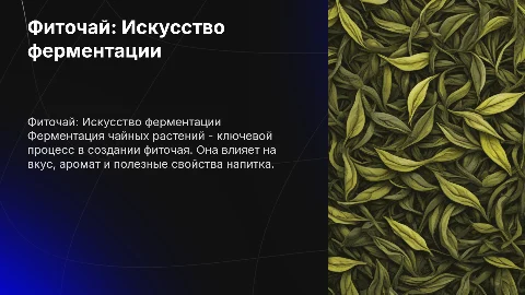 Фиточай. Основы ферментации чайных растений