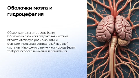 Оболочки головного и спинного мозга: гидроцефалия