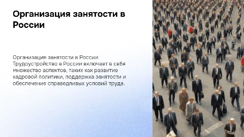 Организация занятости и трудоустройства в России