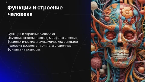 Анатомические и физиологические функции человека: презентация
